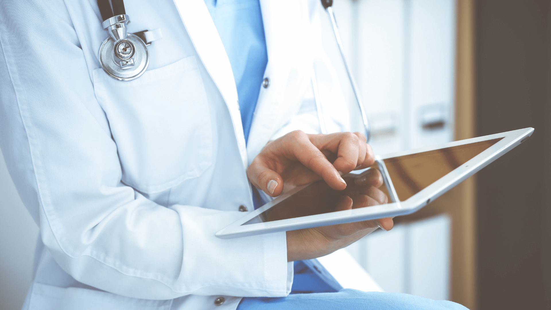 Veterinarian In Boerne TX Hill Country Veterinary Surgical